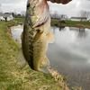 brandonprager